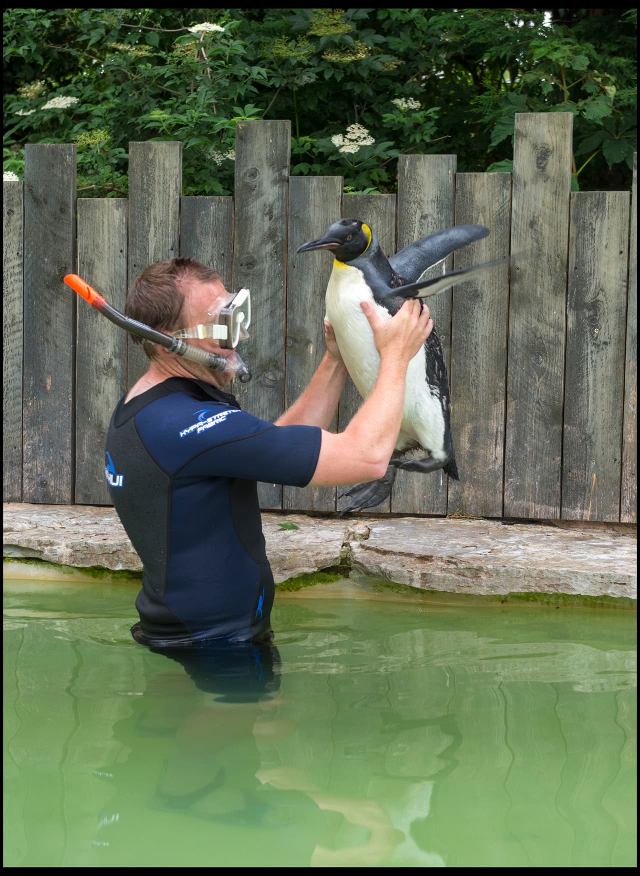 Los cuidadores de las aves realmente no saben qué hacer.