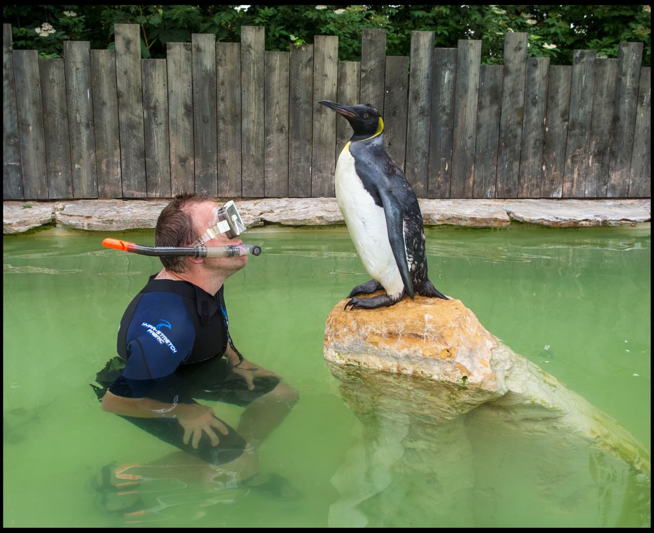 Incluso evita a toda costa ser salpicada por el agua.
