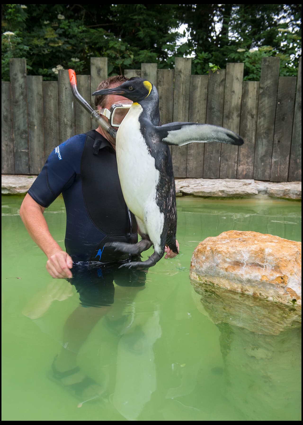 No nada con el resto de su colonia.