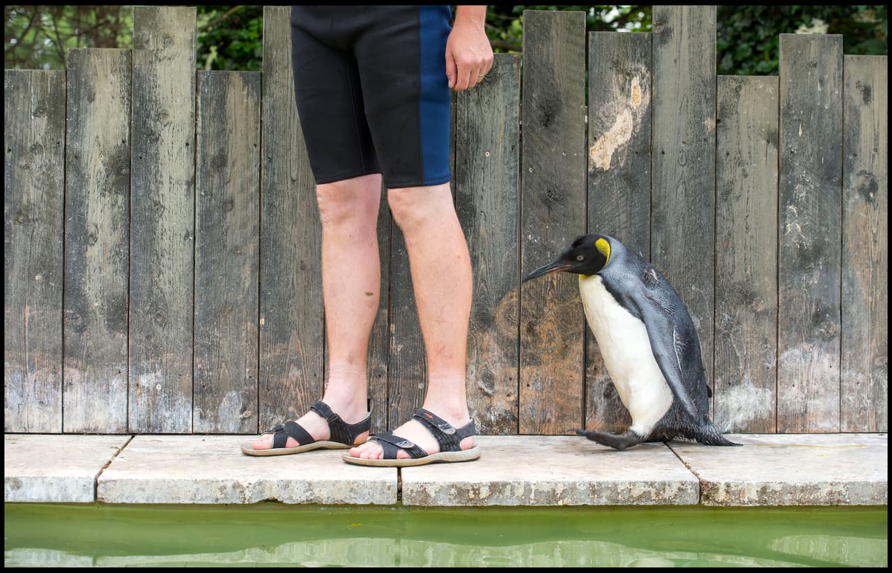 ¡Ella le tiene pavor al agua!