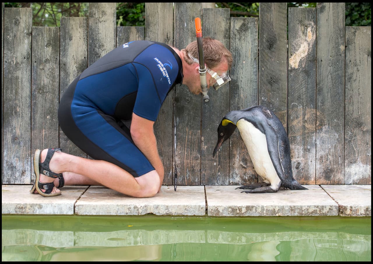 Esta pequeña emplumada tiene un serio miedo.