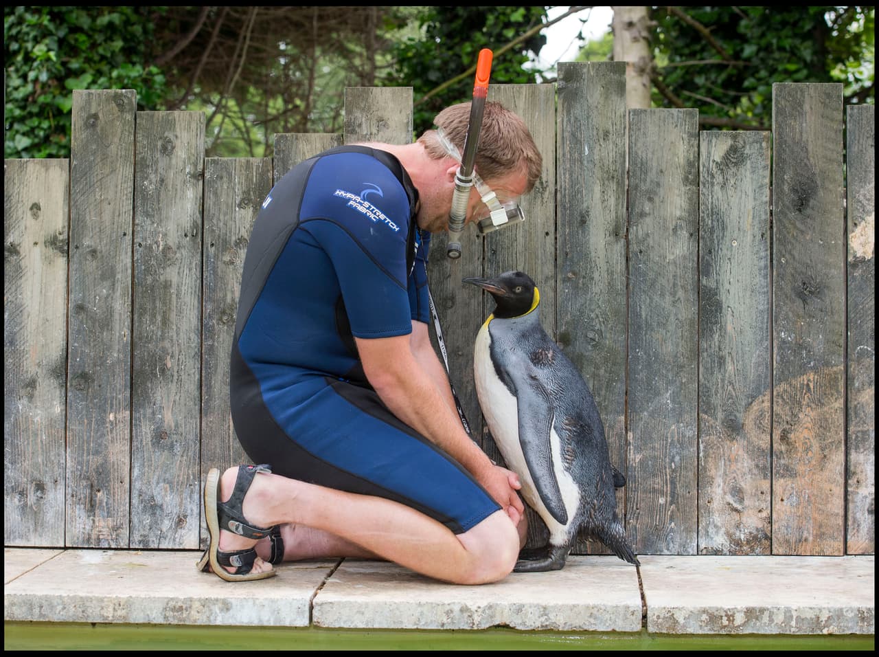 ¡Y es algo que jamás creerías!