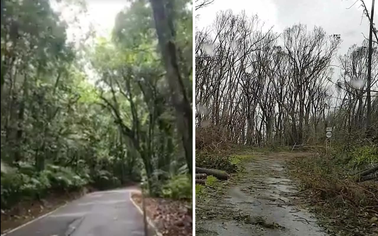 Río Grande (Puerto Rico) después del paso del huracán María: últimas noticias