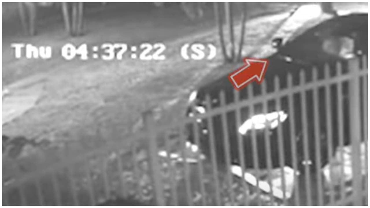 Video del instante en el que disparan a El Taiger en Hialeah confirma que el acusado no estaba solo