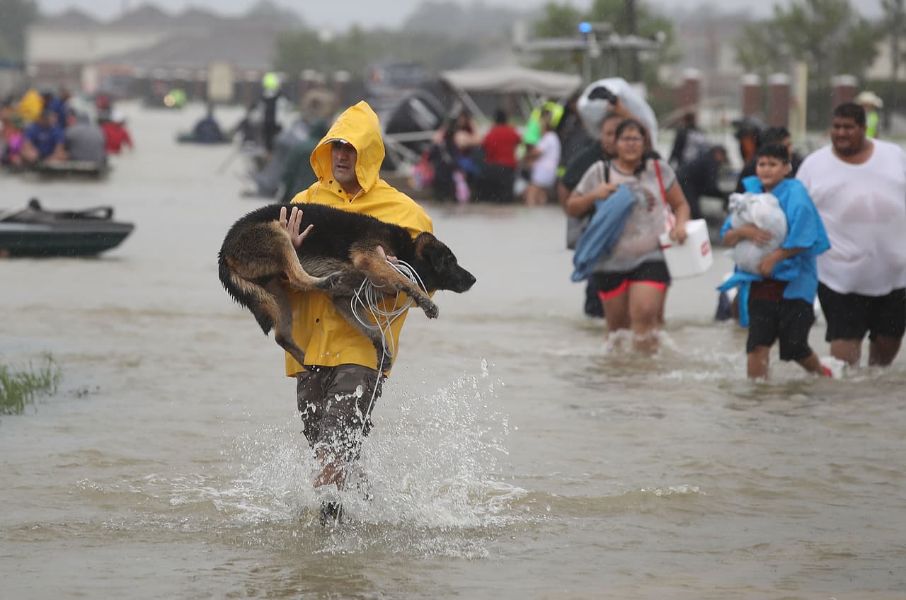 Un grupo de afectados por las lluvias escapa de sus casas en botes, llevando a sus mascotas.