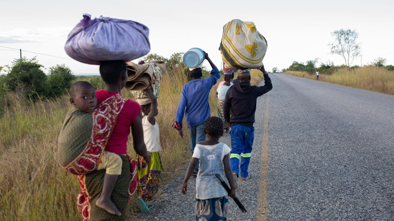 Mishelle Mitchell, directora de World Vision, aseguró que el número de personas que se han visto obligadas a huir de sus hogares en el mundo ya sobrepasa los 100 millones, cifra exacerbada por la guerra en Ucrania. “Conflictos armados, hiperinflación, pobreza y la inseguridad son algunas de las condiciones que obligan a familias a dejarlo todo”, dijo Mitchell. Asimismo, la experta mencionó que, pese a su condición, estas víctimas se están enfrentando a otra problemática: la xenofobia. 
<b><a href="https://vix.com/es-es/canales/channel-callsign-frequancy-news-24-7?utm_medium=internal_referral&utm_source=univision&utm_campaign=evergreen&utm_content=ed_news&utm_term=video" target="_blank">Puedes ver en ViX más noticias gratis.</a></b>