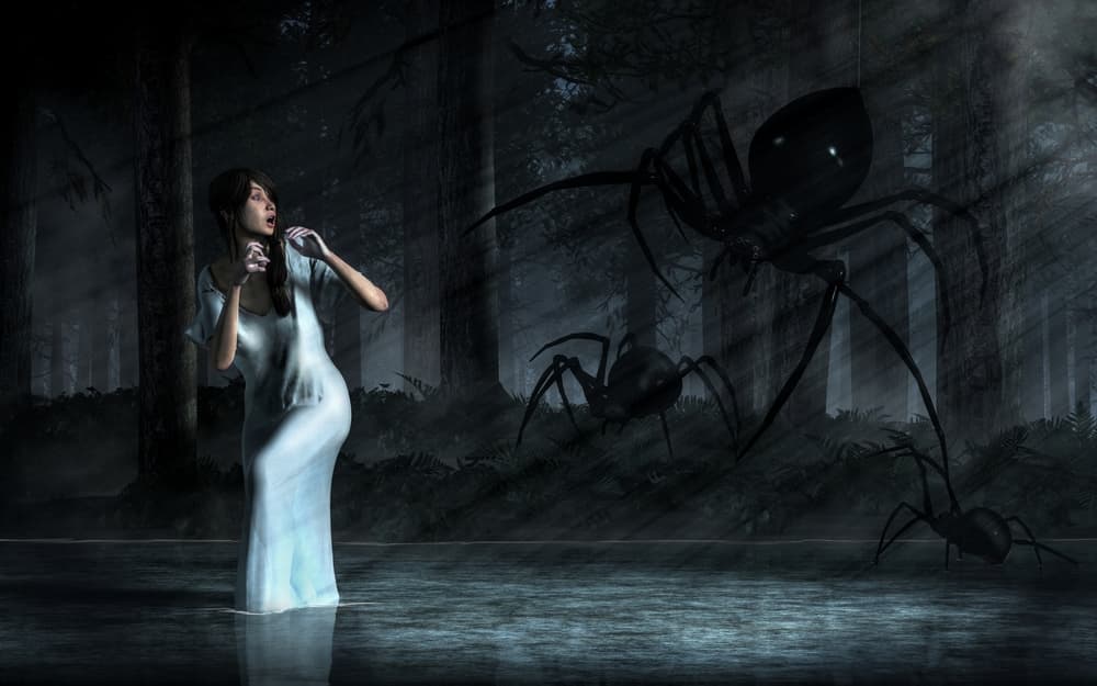 <h3 class="cms-H3-H3"><b>Qué significa soñar con arañas</b></h3>
<b> </b>
<br>Las arañas son frecuentes protagonistas de los sueños, y por lo general su aparición se interpreta como algo negativo. 
<br>