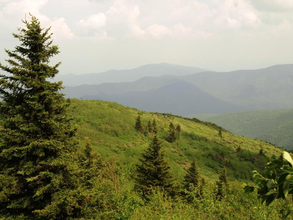 <b>Mount Mitchell</b>: A 6,684 pies de altura, no se puede negar que obtendrás vistas impresionantes en la cima del pico más alto al este del Mississippi.