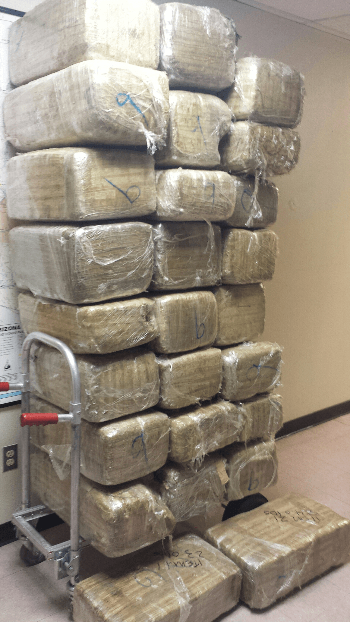 Más de 400 arrestos y 12.5 millones en droga decomisada en operación binacional