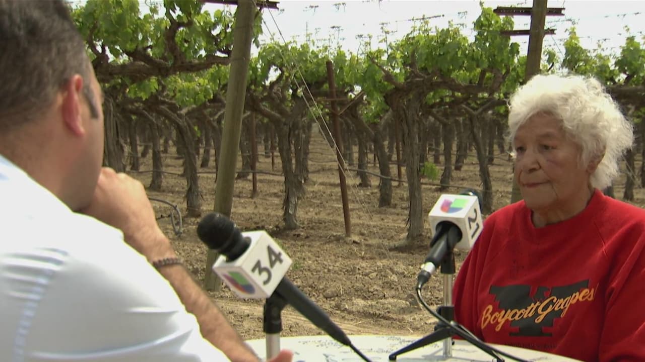 León Krauze volvió a los campos de Delano, California, para conocer la historia de Josefina Flores. Sus padres eran campesinos, y empezó a trabajar desde los 8 años. Ella mantiene el legado del movimiento de César Chávez, y una especial promesa que la empuja a luchar por los derechos de los inmigrantes.