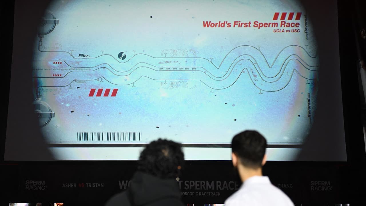 Así fue la primera carrera de espermatozoides en Los Ángeles para crear conciencia sobre fertilidad masculina