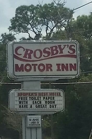 Cosas insólitas que solo se ven en Florida.