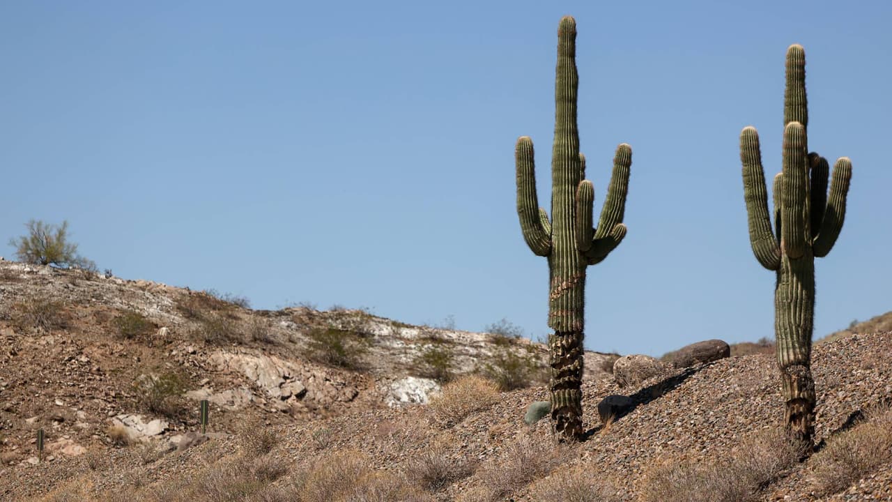 Tras un mes, identifican cuerpo de mujer hallado en una caja abandonada en el desierto