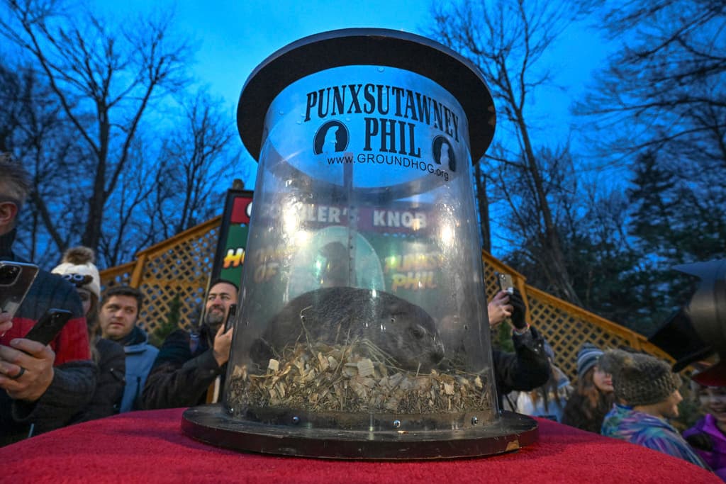 Algunos con sombreros con temática de marmota, observaron actuaciones musicales y fuegos artificiales mientras esperaban el amanecer y la aparición de “Phil”.