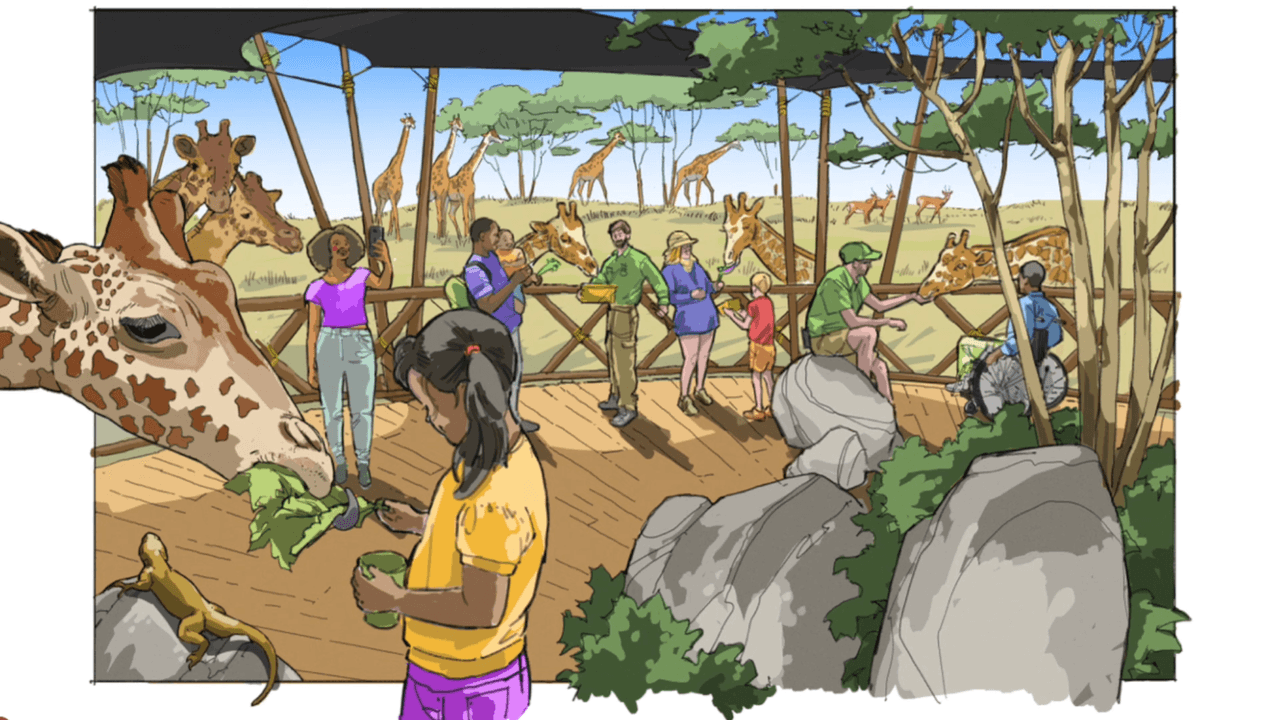 “Las imágenes nos ayudan a comprender mejor los costos y cómo podríamos construir el zoológico", dijo el administrador de la ciudad de Elk Grove, Jason Behrmann.