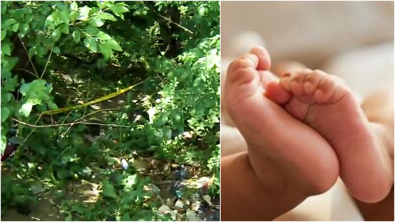 Padres de la bebé de 3 meses hallada muerta en El Bronx permanecen bajo custodia