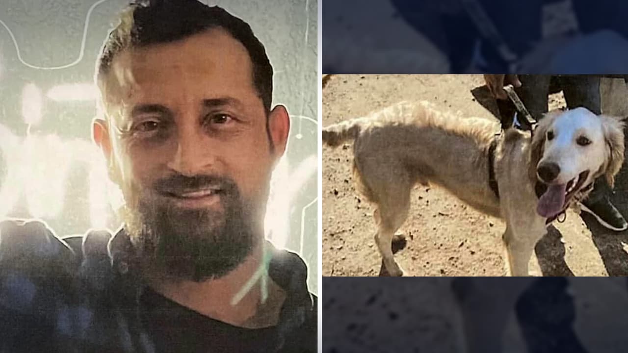 Hallan muerto a excursionista hispano en Griffith Park: Su perro no se separó de él en 16 días