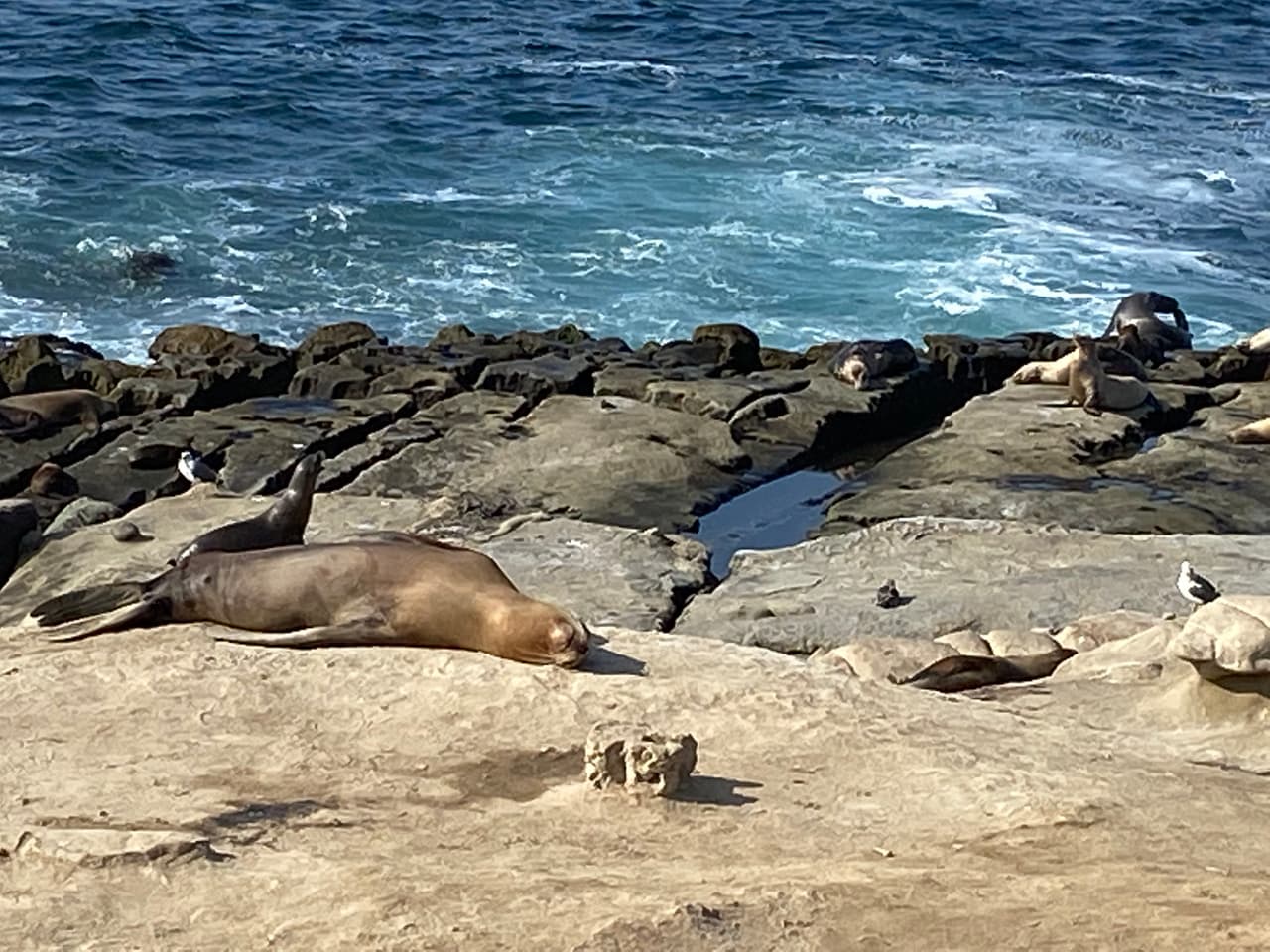 Así quedamos después de un día completo entre caminata y chapuzones. Planifica tu visita y recuerda disfrutar con responsabilidad y respetar las medidas de bioseguridad en vigor.