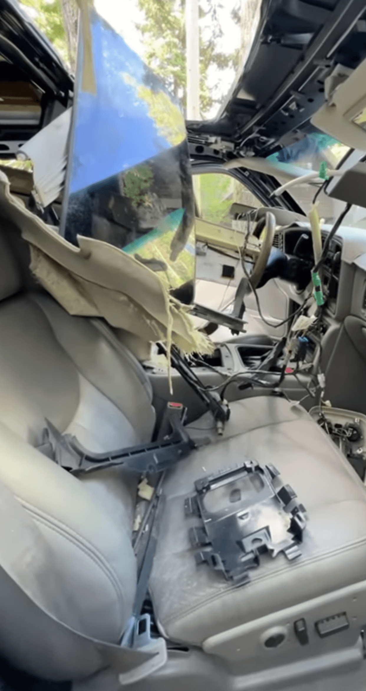 Oso destruye automóvil en Lake Tahoe