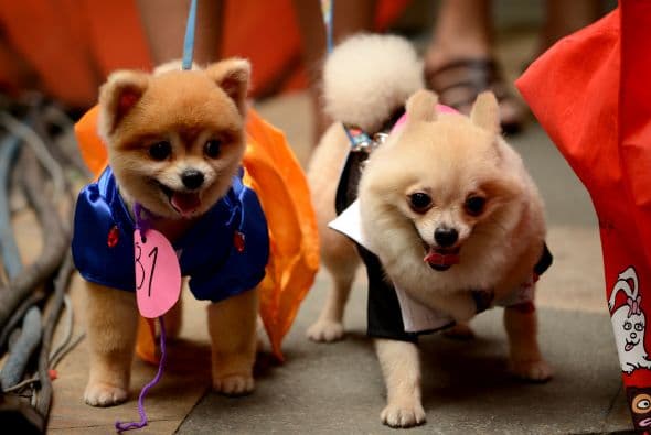 Porque para ser princesa no hay límites, mira cómo se divierten estos amiguitos.