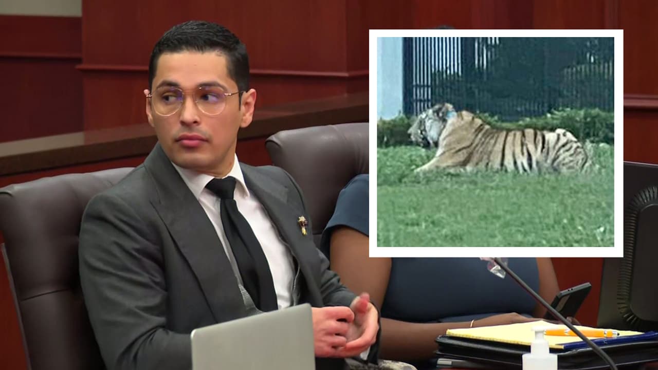 Se presenta en corte Víctor Cuevas involucrado en la desaparición de un tigre en Houston