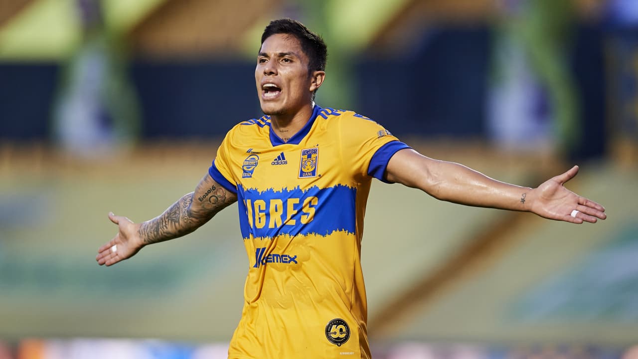 Dos tigres regresan a la manada tras vencer el COVID-19