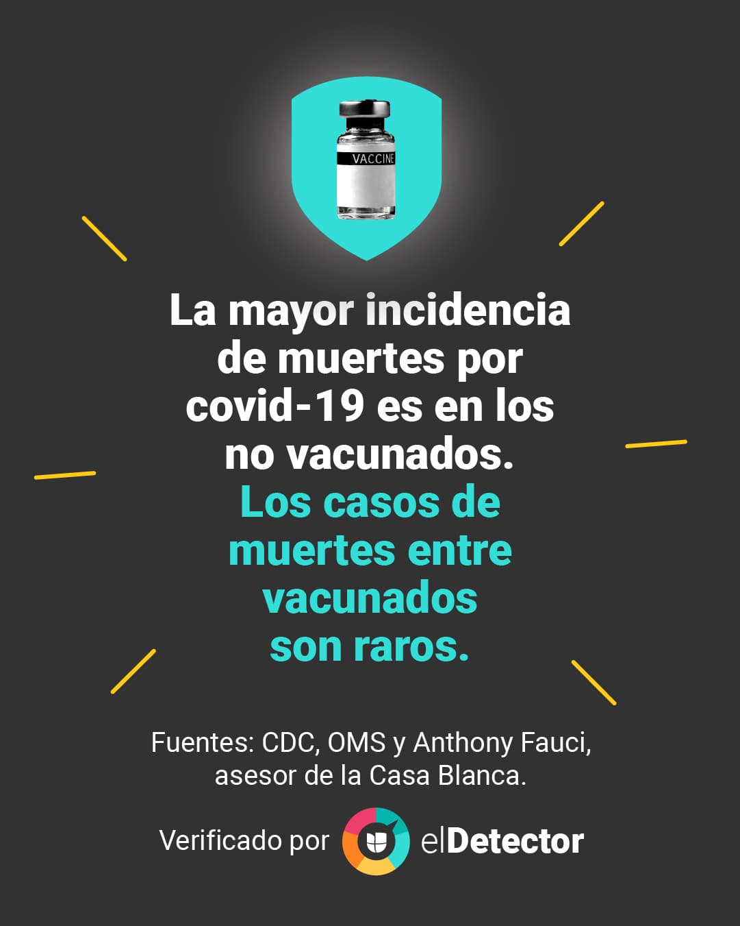 <a href="https://www.univision.com/noticias/vacunas-protegen-mas-muertes-hospitalizacion-menos-contagio">Lee aquí </a>la verificación completa de 
<b>elDetector</b>.