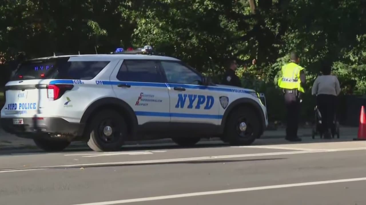 Un hombre de 71 años muere tras chocar en su bicicleta contra un perro sin correa en Central Park