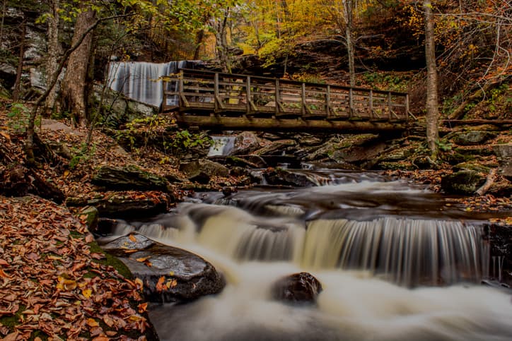 <b>3. Scranton, Pennsylvania.</b> Llega a los 87.08 puntos principalmente por el alto uso de antialérgicos y consultas a médicos alergólogos, pues sus conteos de polen están en el rango promedio. El de grama y maleza alcanzan picos importantes durante el otoño.