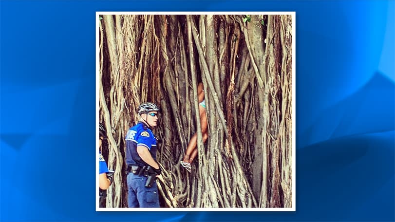 ¡Solo en Florida! Policía rescata a mujer atrapada dentro de un árbol