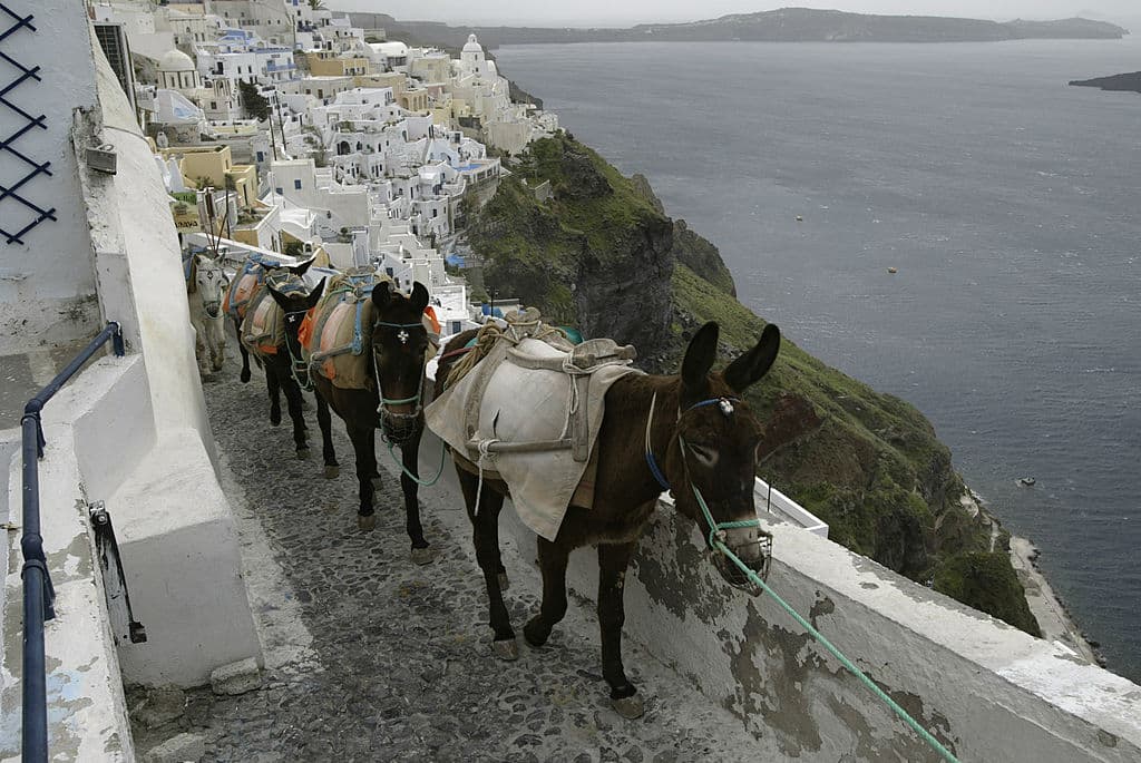 Las playas de la isla de
<b>Santorini</b> en Grecia están llenas de piedras erosionadas de lava negra, roja y blanca. Sus casas color blanco y azoteas de cobalto con vista a los acantilados ofrecen panorámicas del mar Egeo. La isla del archipiélago de las Cícladas adquiere colores sorprendentes al caer la tarde. Los turistas que llegan son tentados por su cocina, sus vinos y su ambiente nocturno.