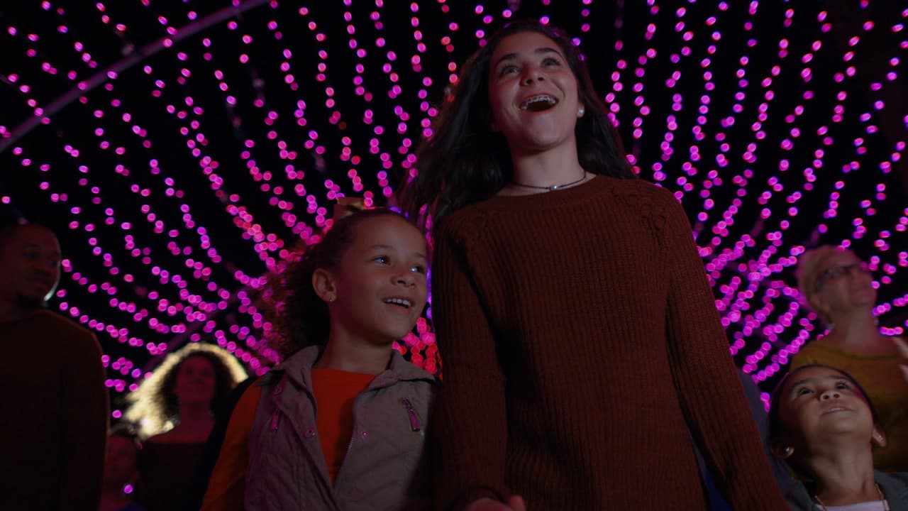 La comida se donará a los 
<a href="https://www.univision.com/local/houston-kxln/banco-de-alimentos-de-houston-busca-a-mas-voluntarios-para-apoyar-las-labores-de-distribucion-video">bancos de alimentos del condado Galveston y de Houston.</a> Si necesitas más información, llama al 409-744-4673.