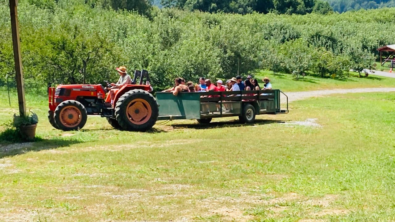 Además de las vistas panorámicas, el huerto también ofrece paseos en carruajes y un parque de animales.