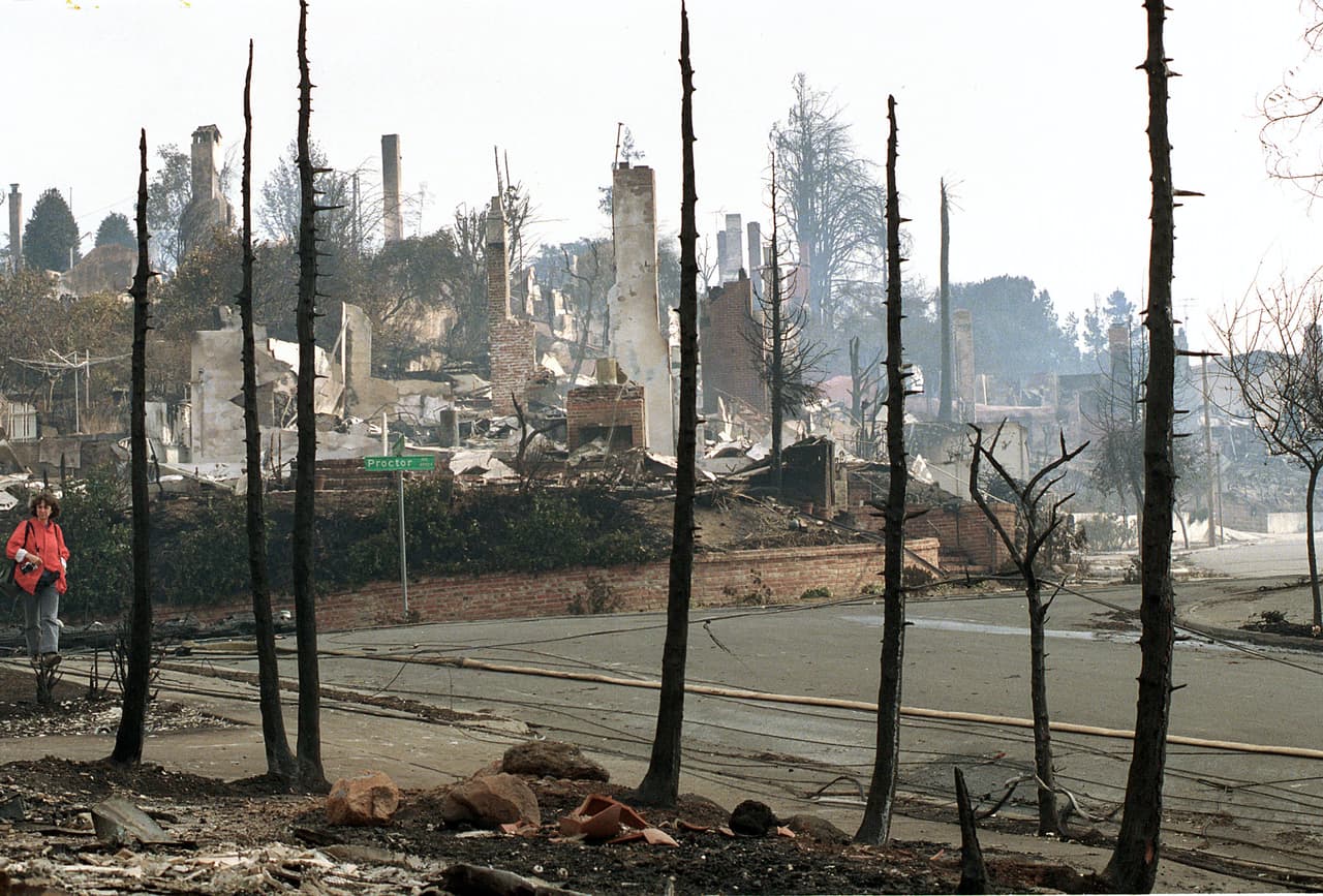 Las chimeneas de las casas destruidas en Oakland Hills por el fuego son visibles más allá de los troncos negros y carbonizados de los árboles, también consumidos por la tormenta de fuego que arrasó el área en Oakland afines de octubre de 1991.