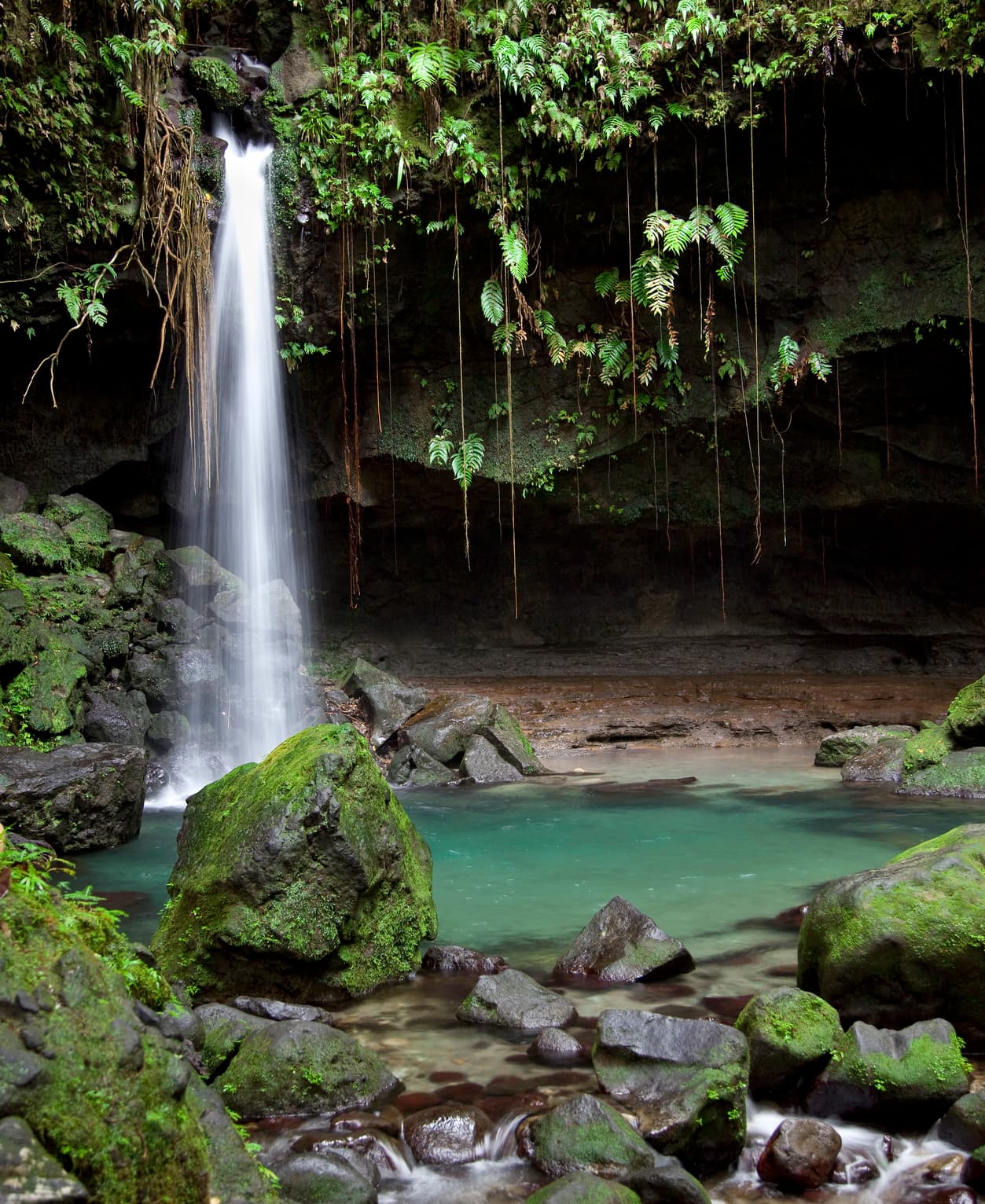Esta poza de agua al pie de una pequeña cascada de 40 pies, es 
<a href="https://www.lonelyplanet.com/dominica/attractions/emerald-pool/a/poi-sig/1020529/358026">conocida por los turistas como <b>'Emerald Pool'</b></a>
<b>... y sí, justificaría totalmente una visita a Dominica</b>. | Foto: iStock.