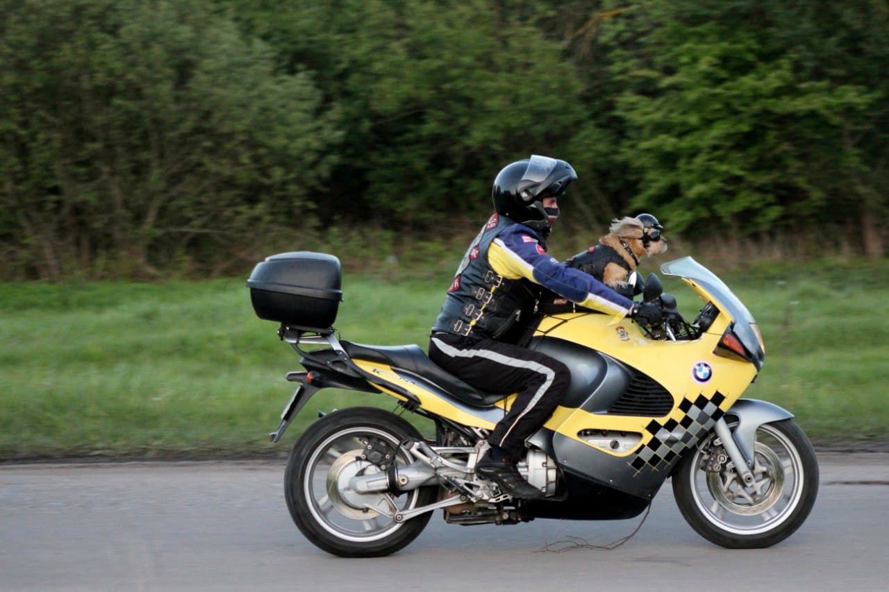 De inmediato se enamoró de él y lo liberó de las cadenas que lo ataban.