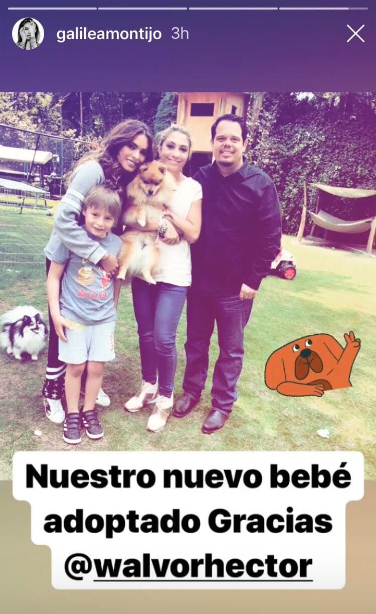 En la imagen aparece Galilea abrazando a Mateo y a un costado su nuevo "bebé", un perro que parece ser de raza "pomerania".