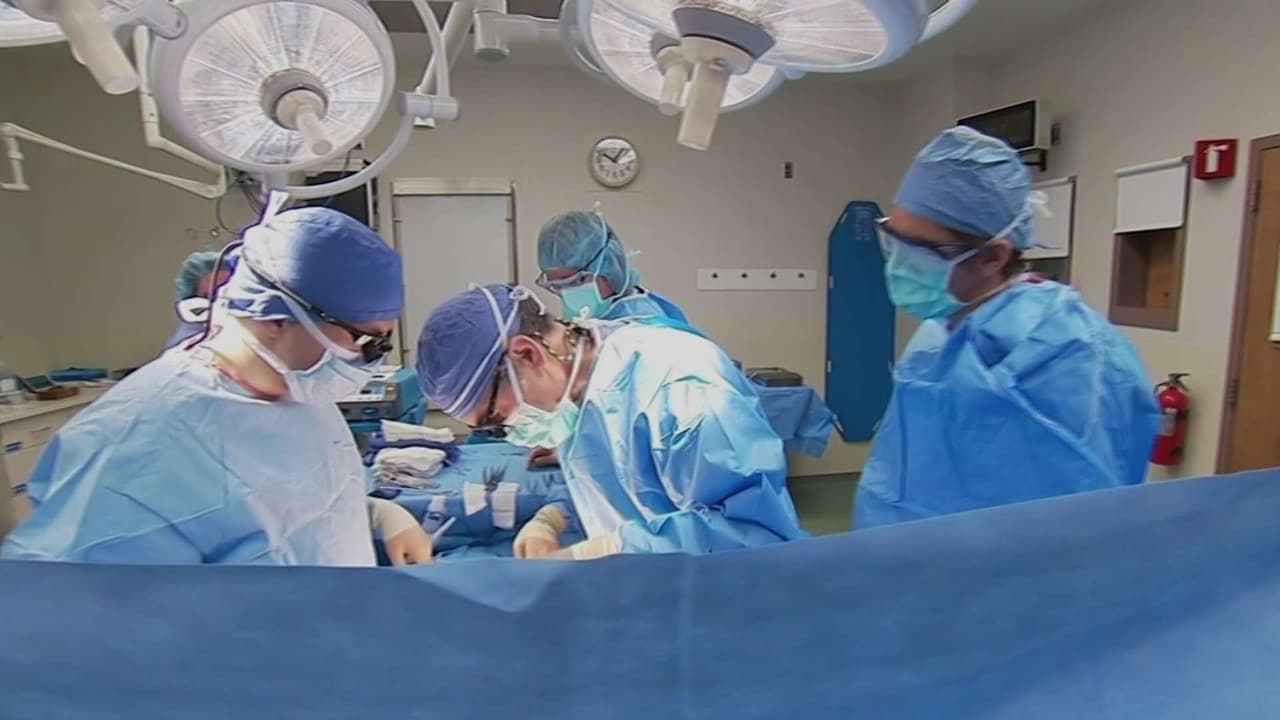 EEUU reanuda visas para médicos extranjeros de 39 países ante escasez