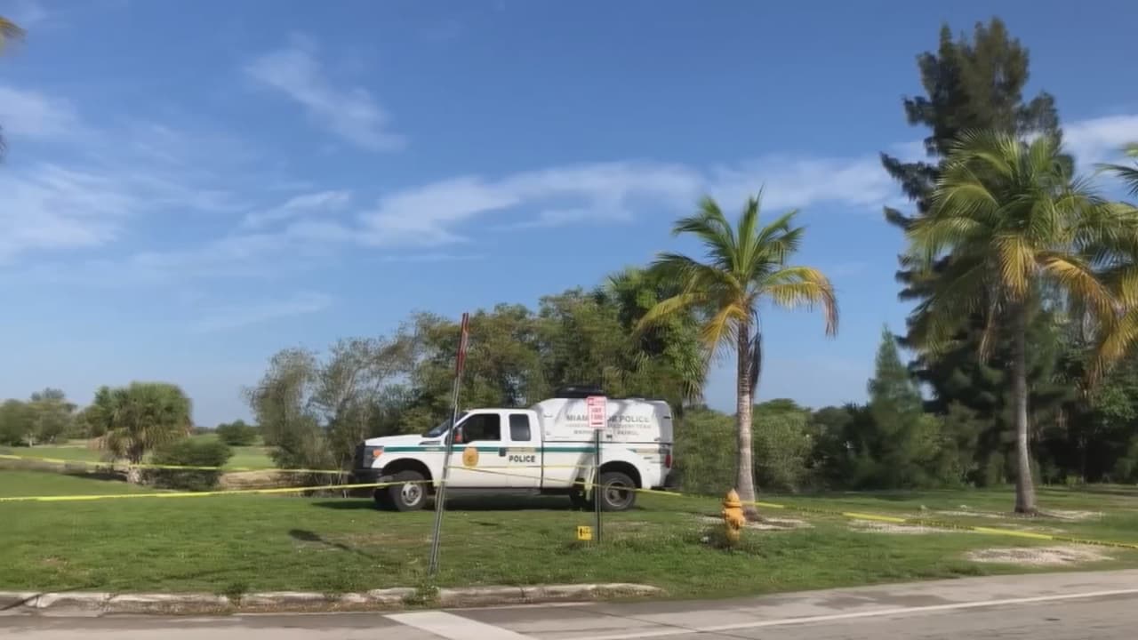 Unos vecinos del área la ayudaron a rescatar a Alejandro, pero una hora después, 
<b><a href="https://www.univision.com/local/miami-wltv/revelan-escalofriantes-detalles-de-como-fue-el-asesinato-de-un-nino-con-autismo-en-miami-dade">la madre llevó a su hijo a otro canal y ahí se ahogó, </a></b>s egún dijo la fiscal de Miami-Dade Katherine Fernández Rundle.
