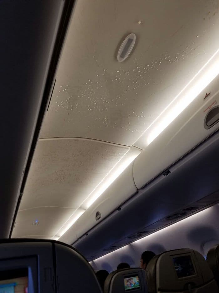 El vuelo 1134 de JetBlue partió la noche del lunes de Puerto Rico hacia Orlando, Florida. Sin embargo, el vuelo unas dos horas y media fue uno de terror para los pasajeros que se encontraban a bordo. Unas ocho personas terminaron hospitalizadas por dolores de espalda, cuello y nauseas.