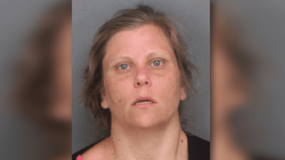 Esta mujer enfrenta cargos de crueldad animal por dejar morir a un perro encerrado en auto bajo 113 °F