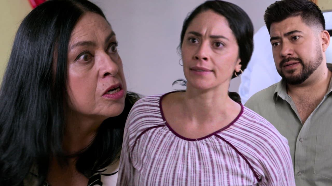 Resumen de La Rosa de Guadalupe capítulo 'La mujer de la casa'