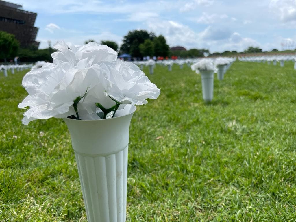 Cada flor representa una víctima de la violencia armada en Estados Unidos solo en 2021.