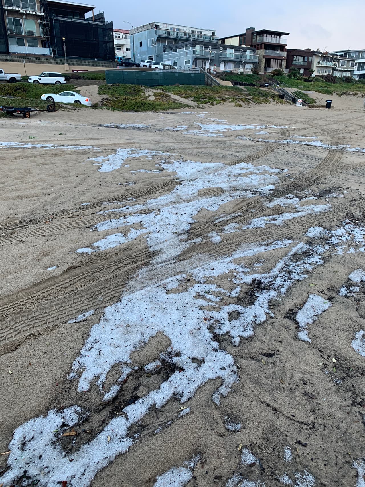 Sin emgargo, este no ha sido el único fenómeno registrado en Manhatan Beach durante este invierno.