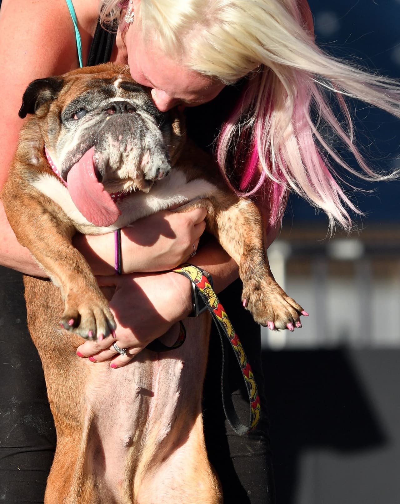 Megan Brainard, de Anoka, Minnesota, es la dueña de Zsa Zsa, a quien adoptó hace cuatro años. 
<b><a href="https://www.nytimes.com/2018/06/24/us/worlds-ugliest-dog-zsa-zsa.html">“Es tan fea, que es preciosa", dijo a The New York Times</a></b>.