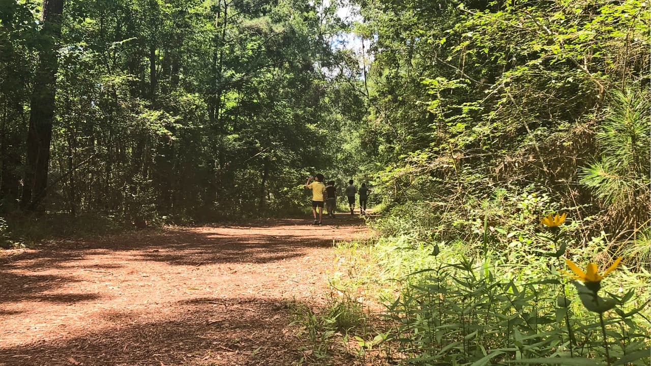 Las temperaturas en el verano pueden llegar hasta los 100 grados Fahrenheit y en el año caen unas 50 pulgadas de lluvia.