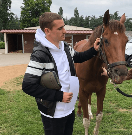 Princesa es un caballo de carreras.