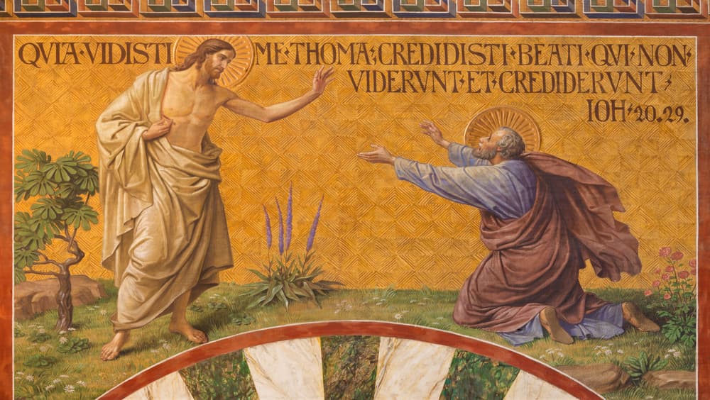 Se le menciona en varios pasajes del Evangelio de San Juan, como Tomás, "llamado el Dídimo", la cual significa gemelo o mellizo, aunque en realidad jamás se menciona si lo era o la identidad de su familia, tan sólo que se dedicaba a ser pescador.