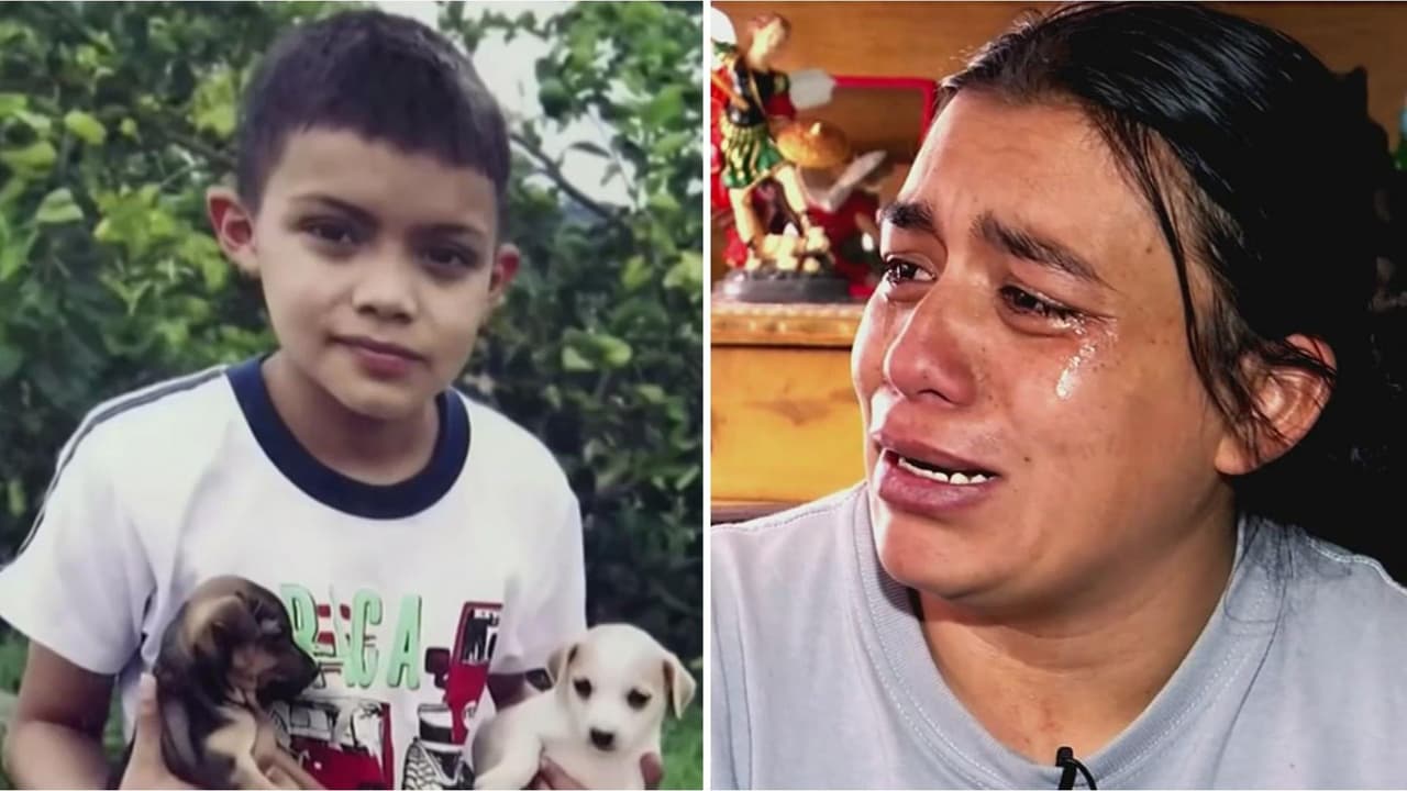 <b>"Se retorció y convulsionó": muere un niño de 11 años tras comer una gomita que tenía un alucinógeno</b>
<br>
<br>El pequeño David Santiago Bedoya murió luego de ingerir lo que parecía un dulce para niños, pero que en realidad llevaba una sustancia que le provocó alucinaciones y posteriormente su fallecimiento. La madre, entre lágrimas, asegura que para su hija el momento del fallecimiento fue como una "tortura". La goma estaba en casa de la tía del menor, según cuenta una testigo.