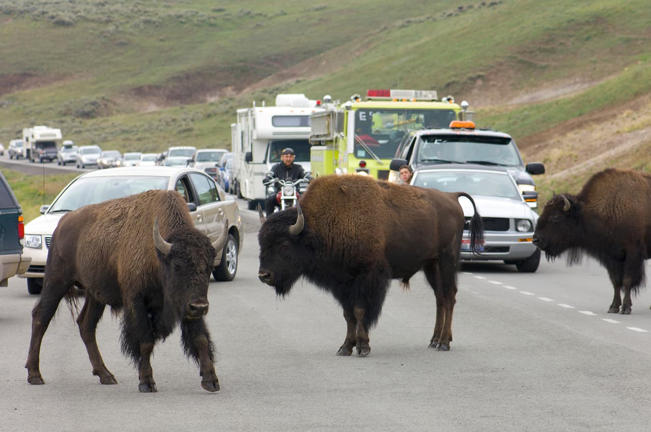 <b>Wyoming | </b>Precio promedio de la gasolina regular: $4.743
<br>
<br>Precio promedio de la gasolina 'mid-grade': $4.970
<br>
<br>Precio promedio de la gasolina 'premium': $5.233
<br>
<br>Precio promedio del diesel: $5.632